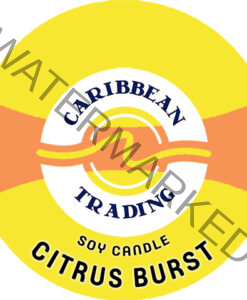 tropical-soy-candles