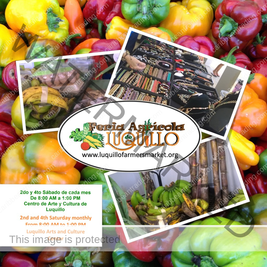 Luquillo Farmers Market