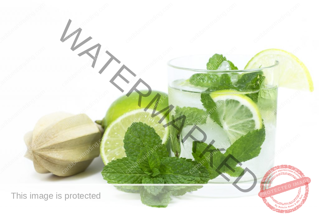 coconut mojito recipe