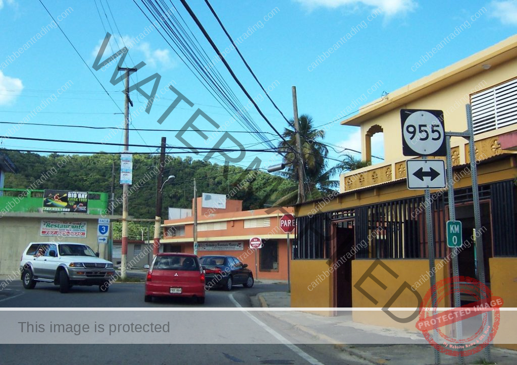 businesses in el yunque