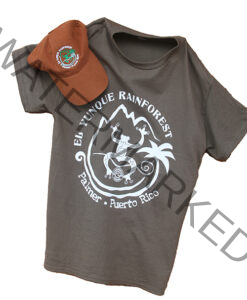 El Yunque Rainforest