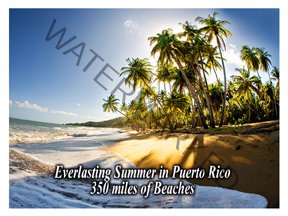 Coffee Postcard with Puerto Rico Scenes - Image 3