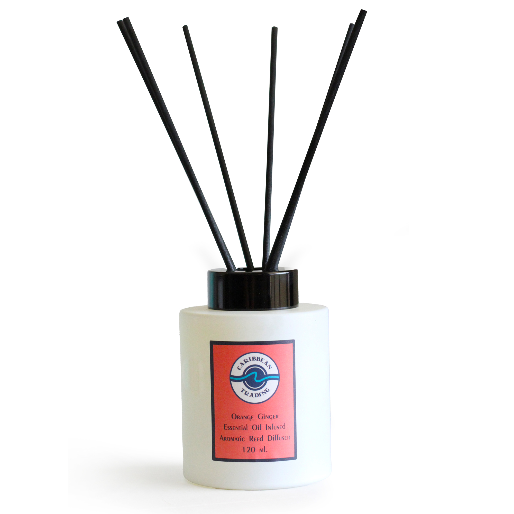 Orange Ginger Reed Diffuser - Image 4