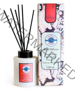 Orange Ginger Reed Diffuser