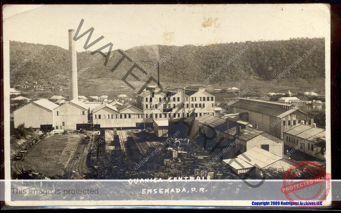 3578357083_906d56df04_o