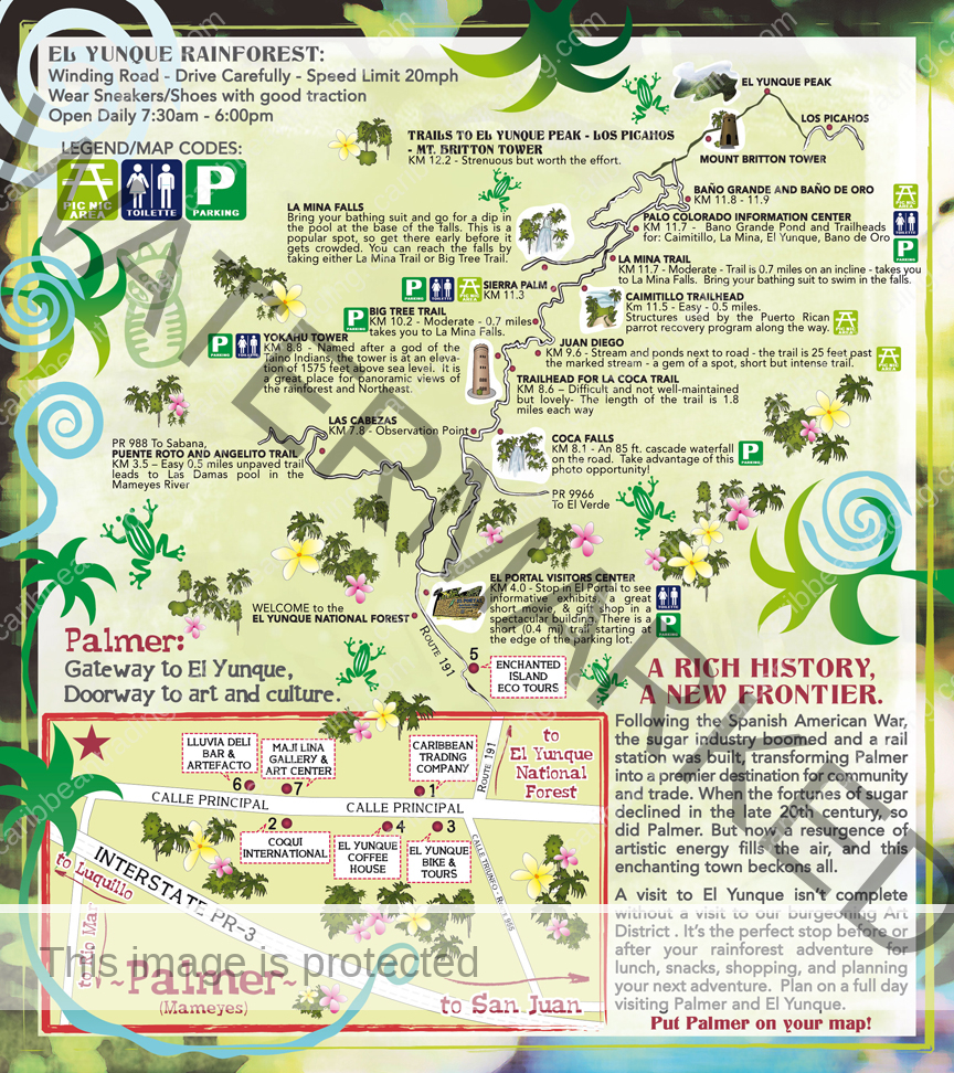 El Yunque Rainforest