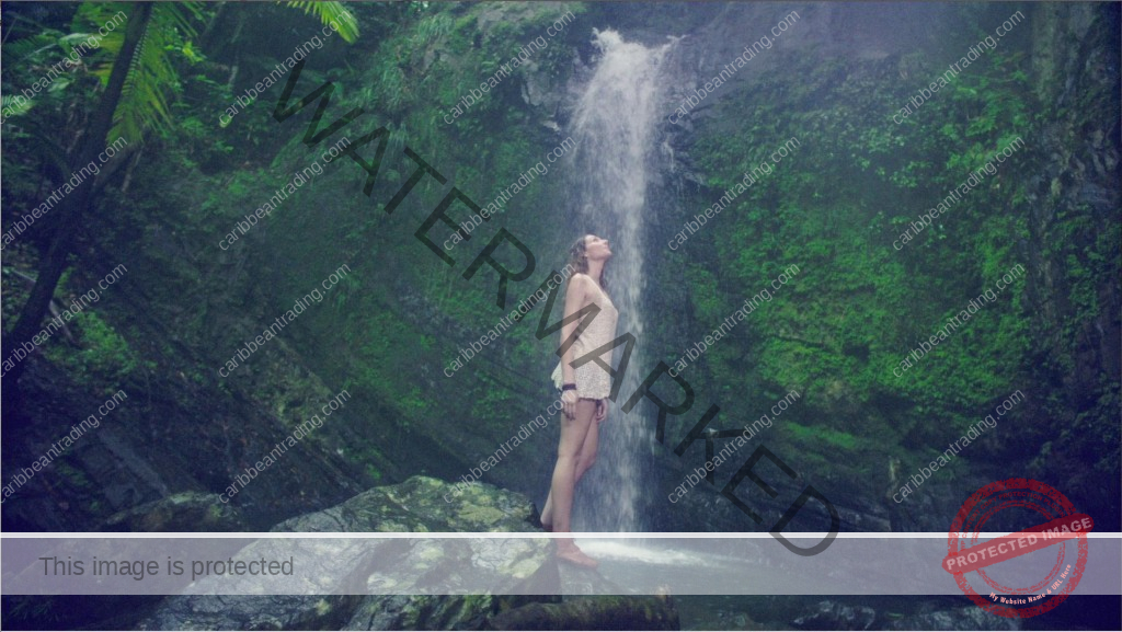 Puerto Rico Eco Tourism