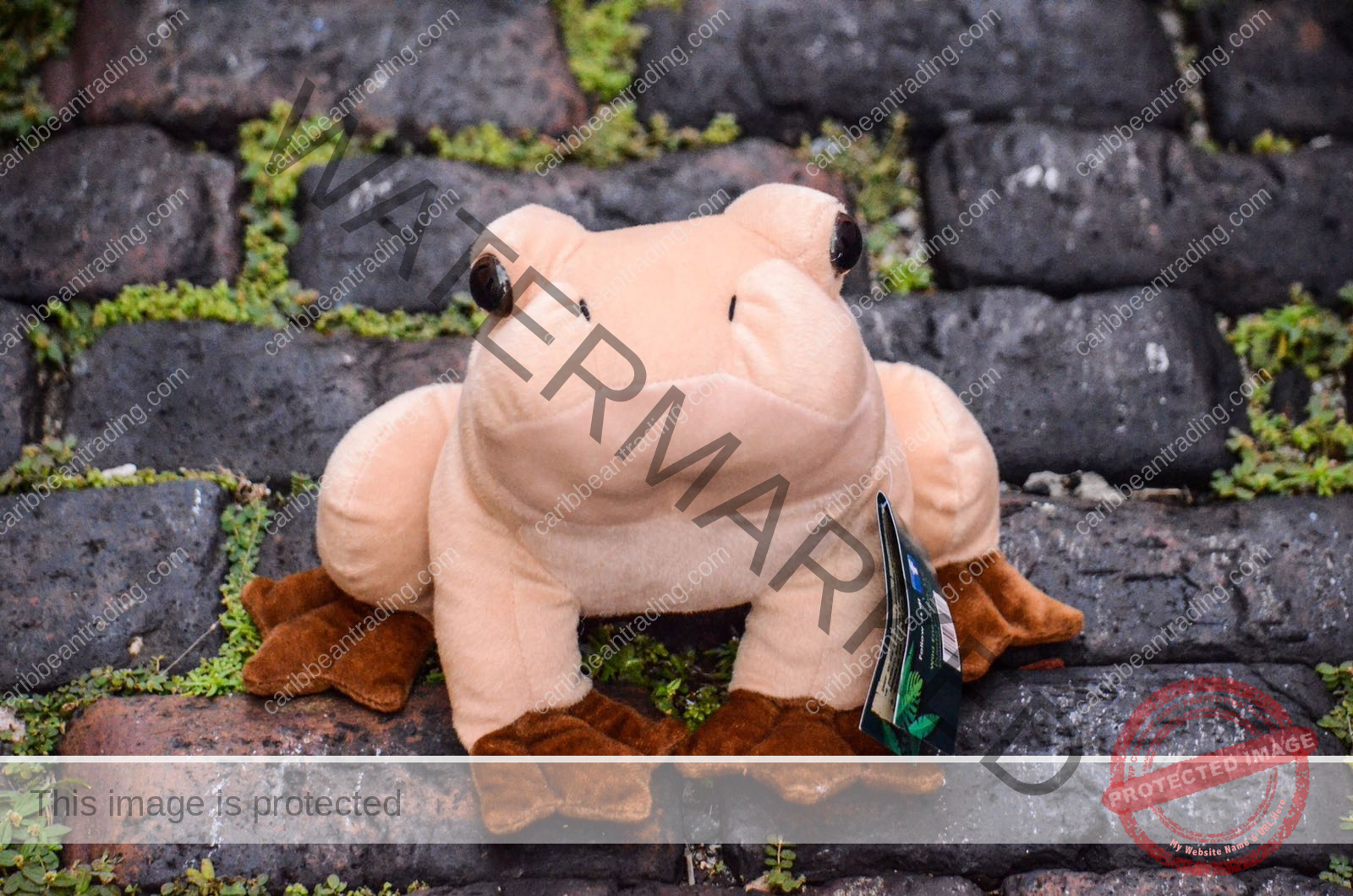 coqui frog stuffed animal