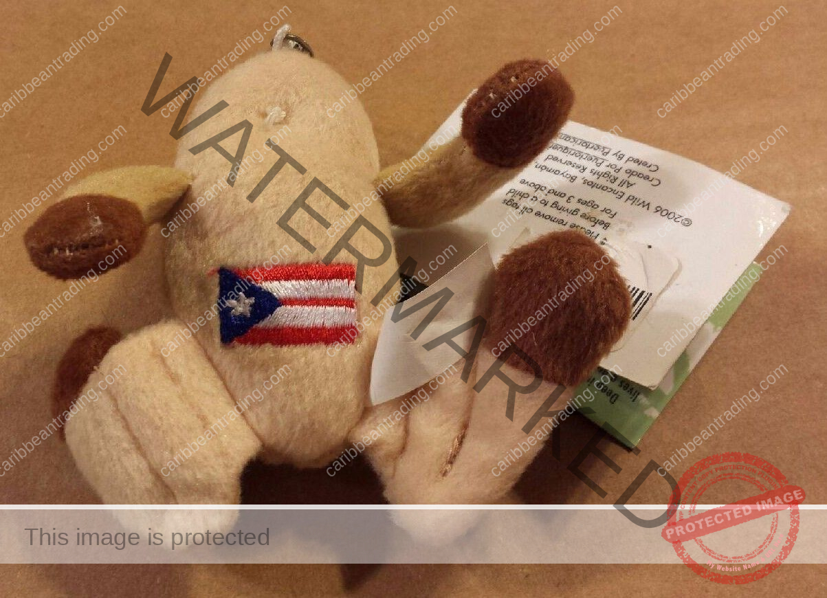 Coqui Key Chain Under