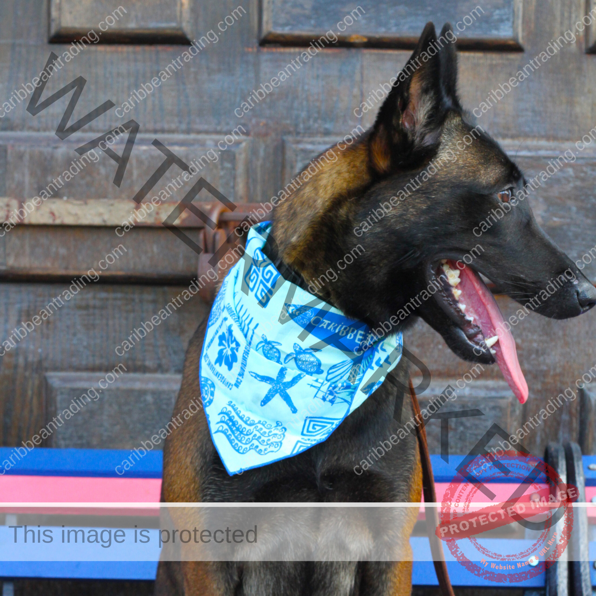 Caribbean Dog Bandana - Image 4