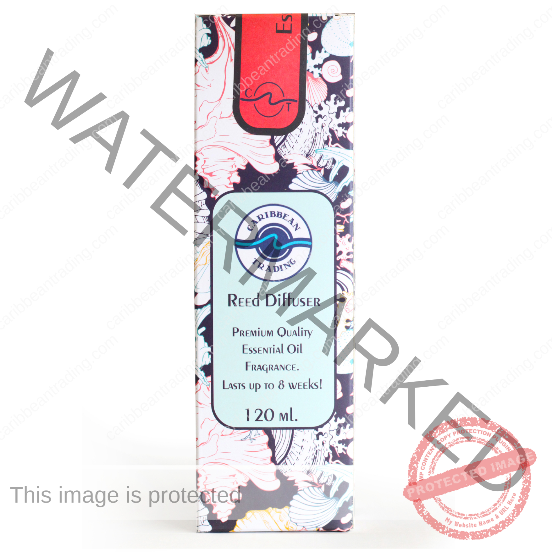 Orange Ginger Reed Diffuser - Image 2