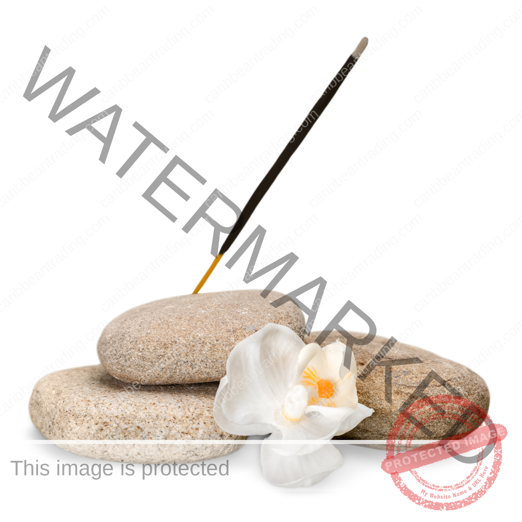 Gardenia Garden - Image 4