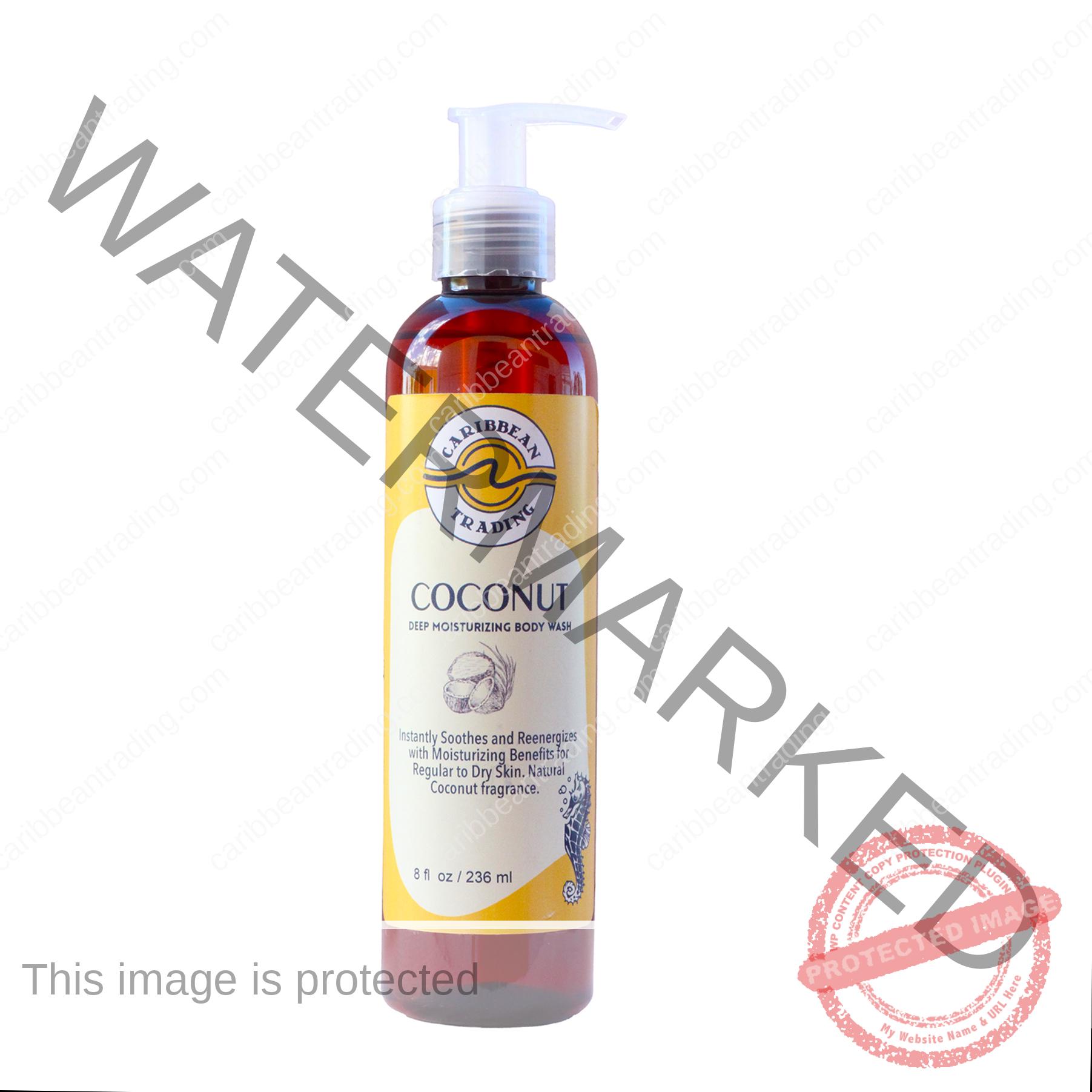 Body Wash-Coconut 8 oz.