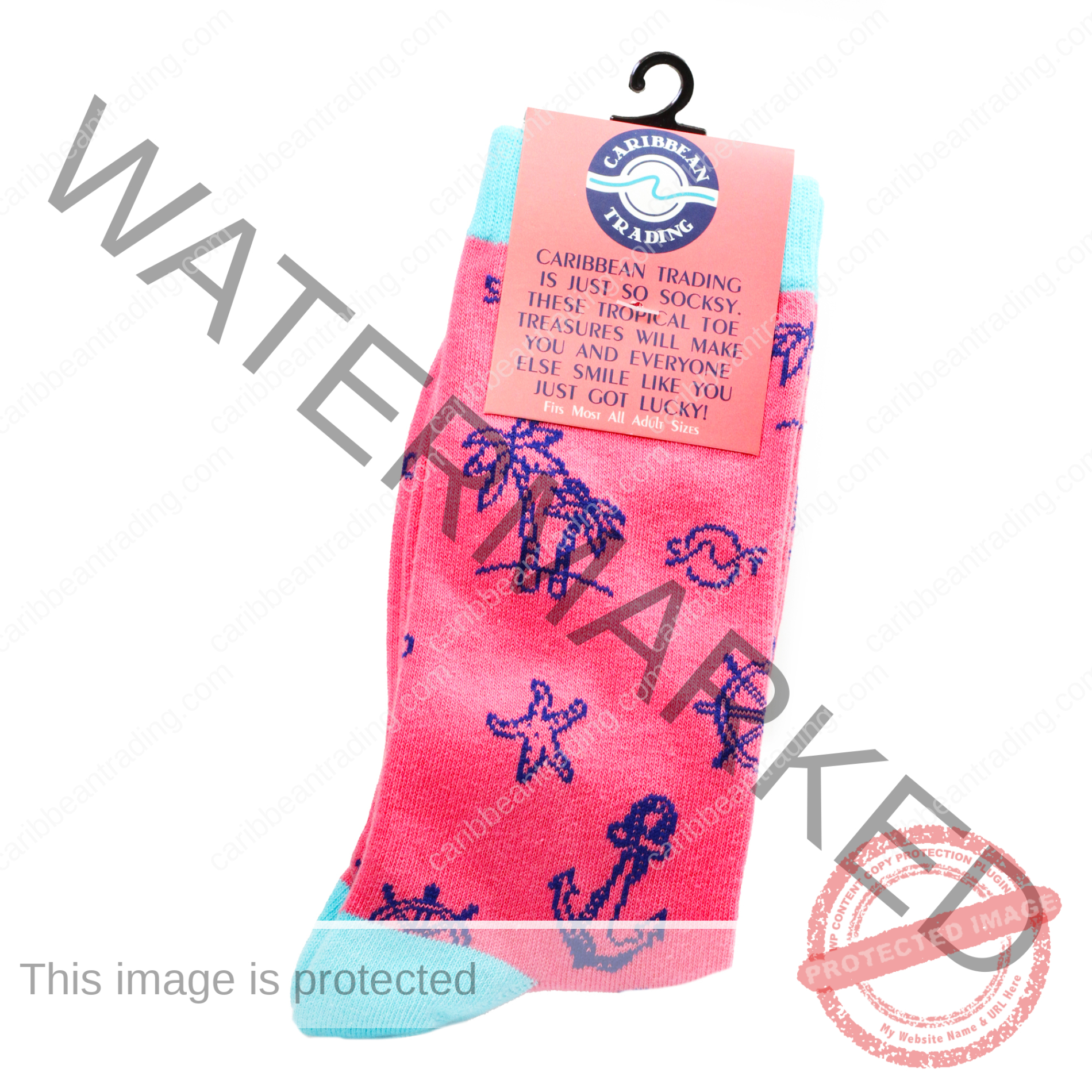 Tropical Socks Watermelon Icon - Image 3