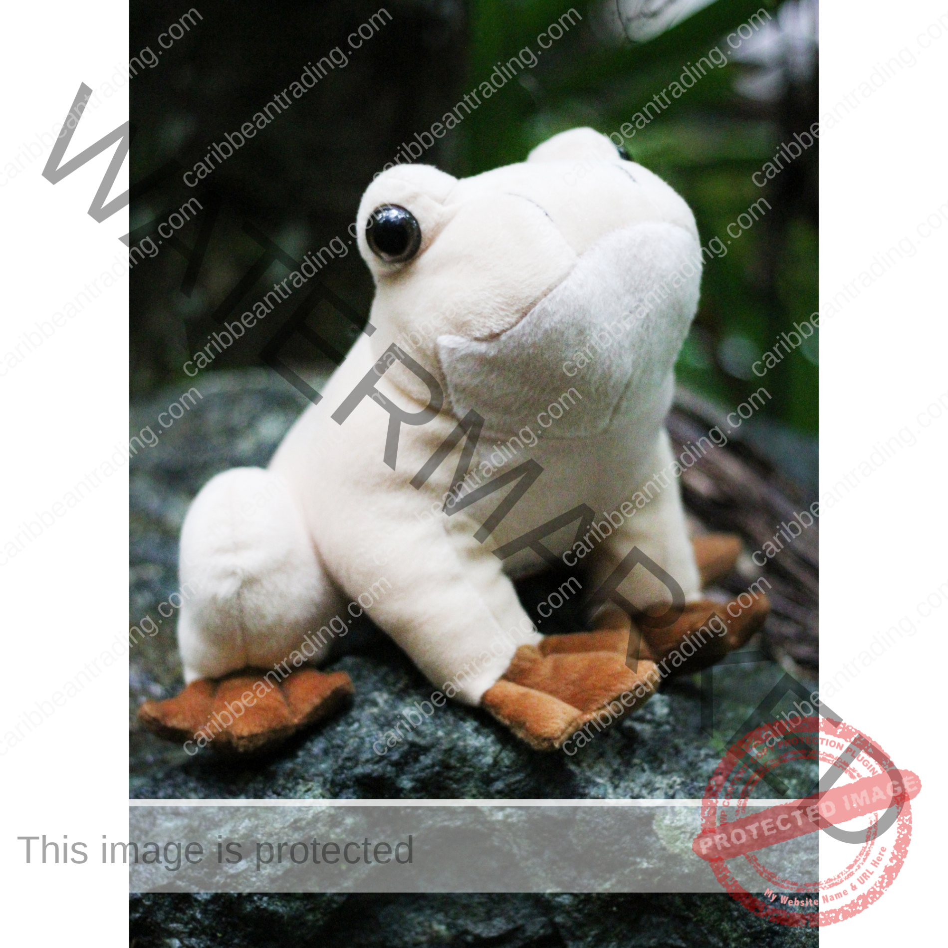 Coqui Frog Stuffed Animal-With-Suction-Cups - Image 3