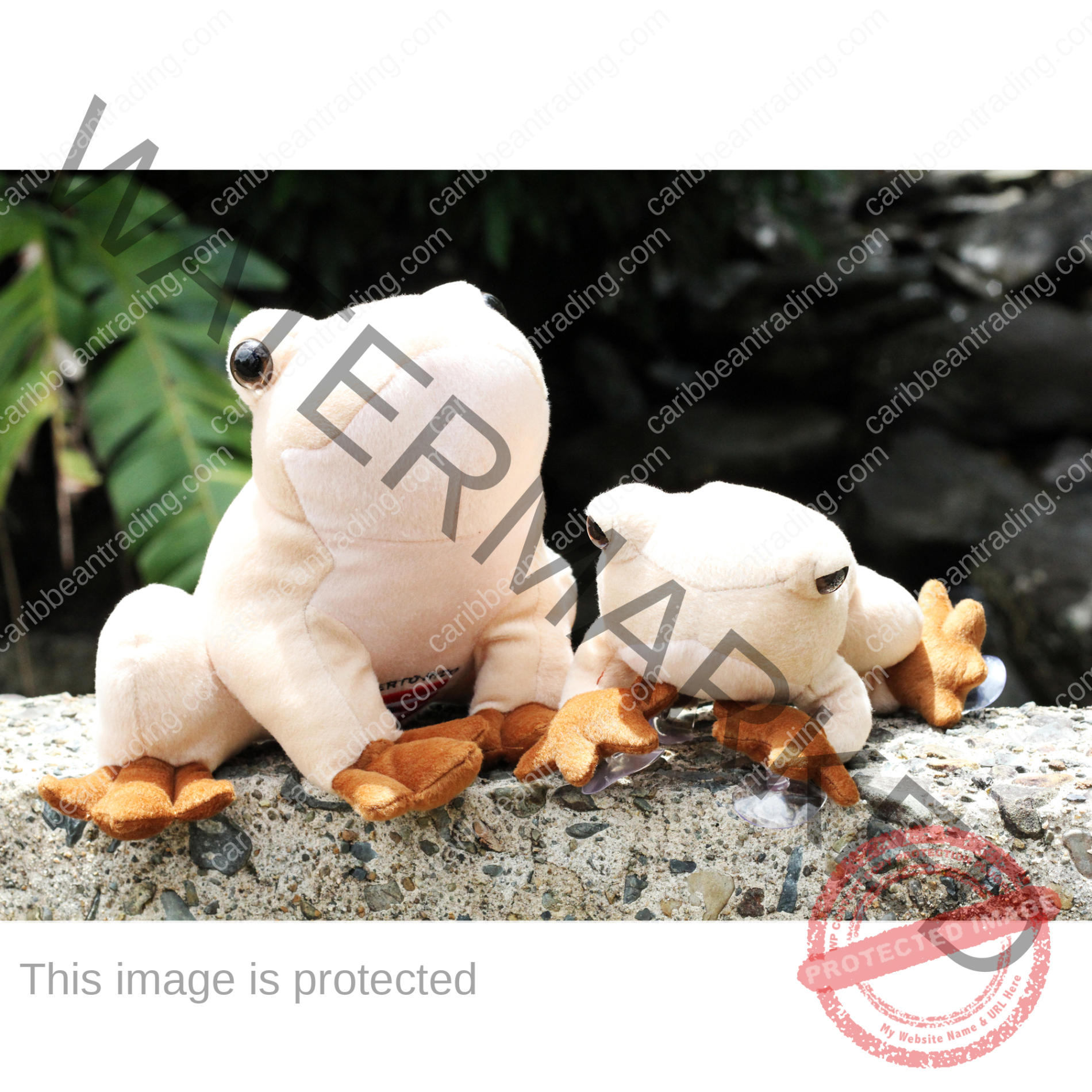 Coqui Frog Stuffed Animal-With-Suction-Cups - Image 5