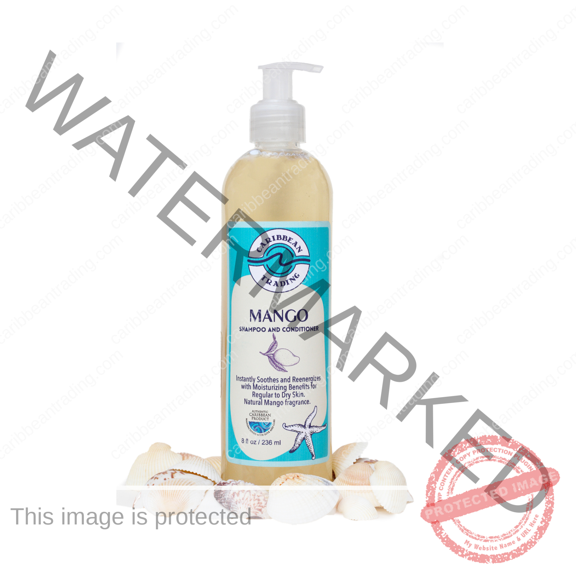 Mango Moisturizing Shampoo-Conditioner 8 oz.