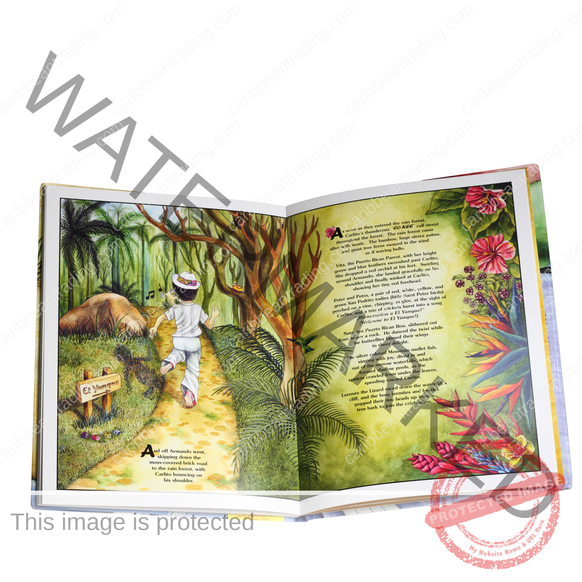 There's a Coqui in my Shoe Book - Image 3