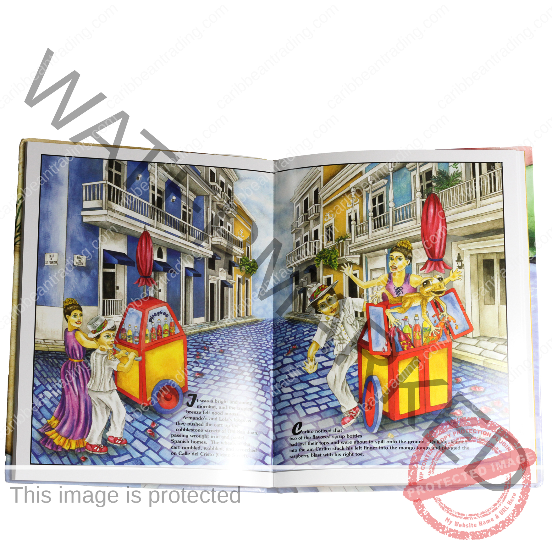 There's a Coqui in my Shoe Book - Image 4