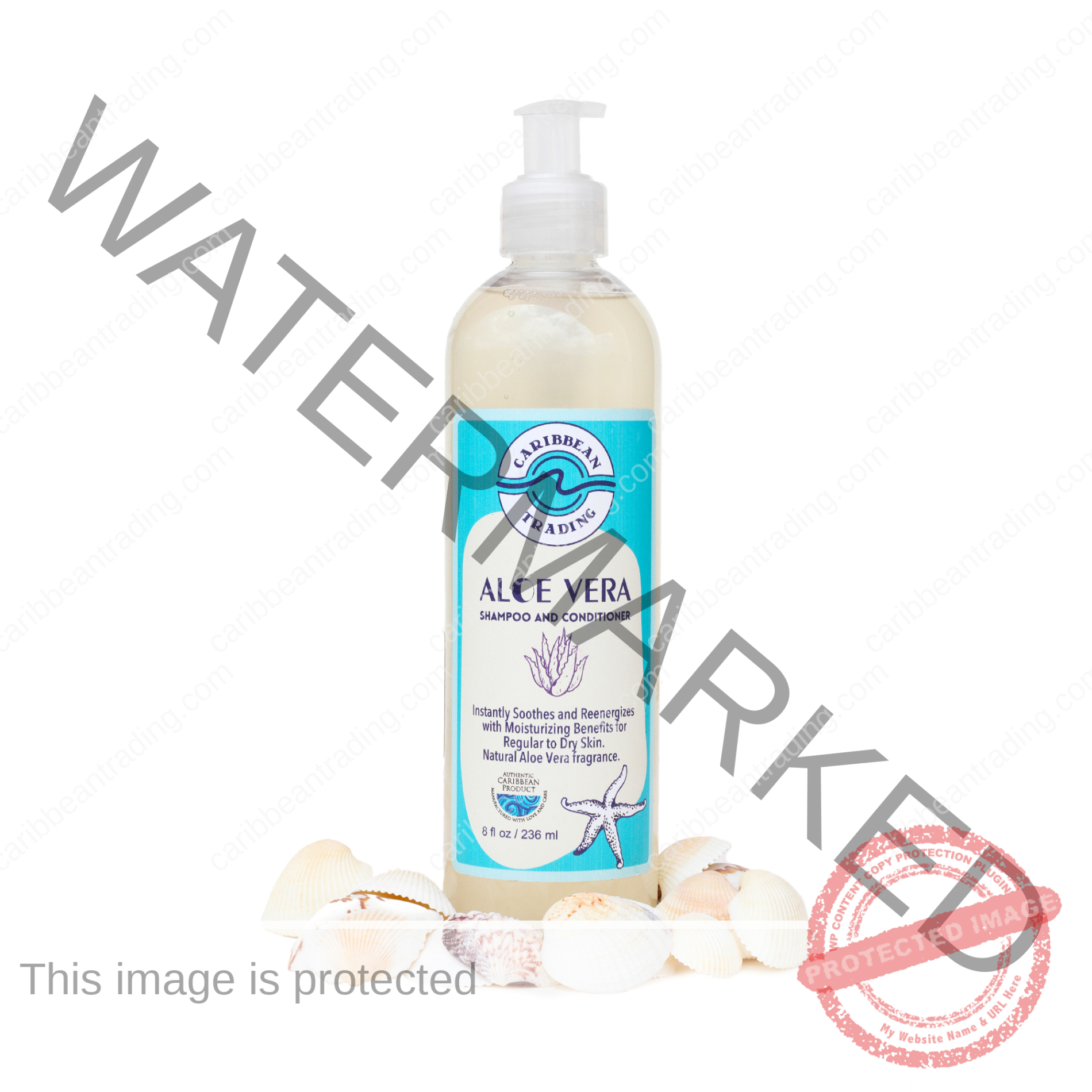 Aloe Vera Moisturizing Shampoo-Conditioner 8 oz.