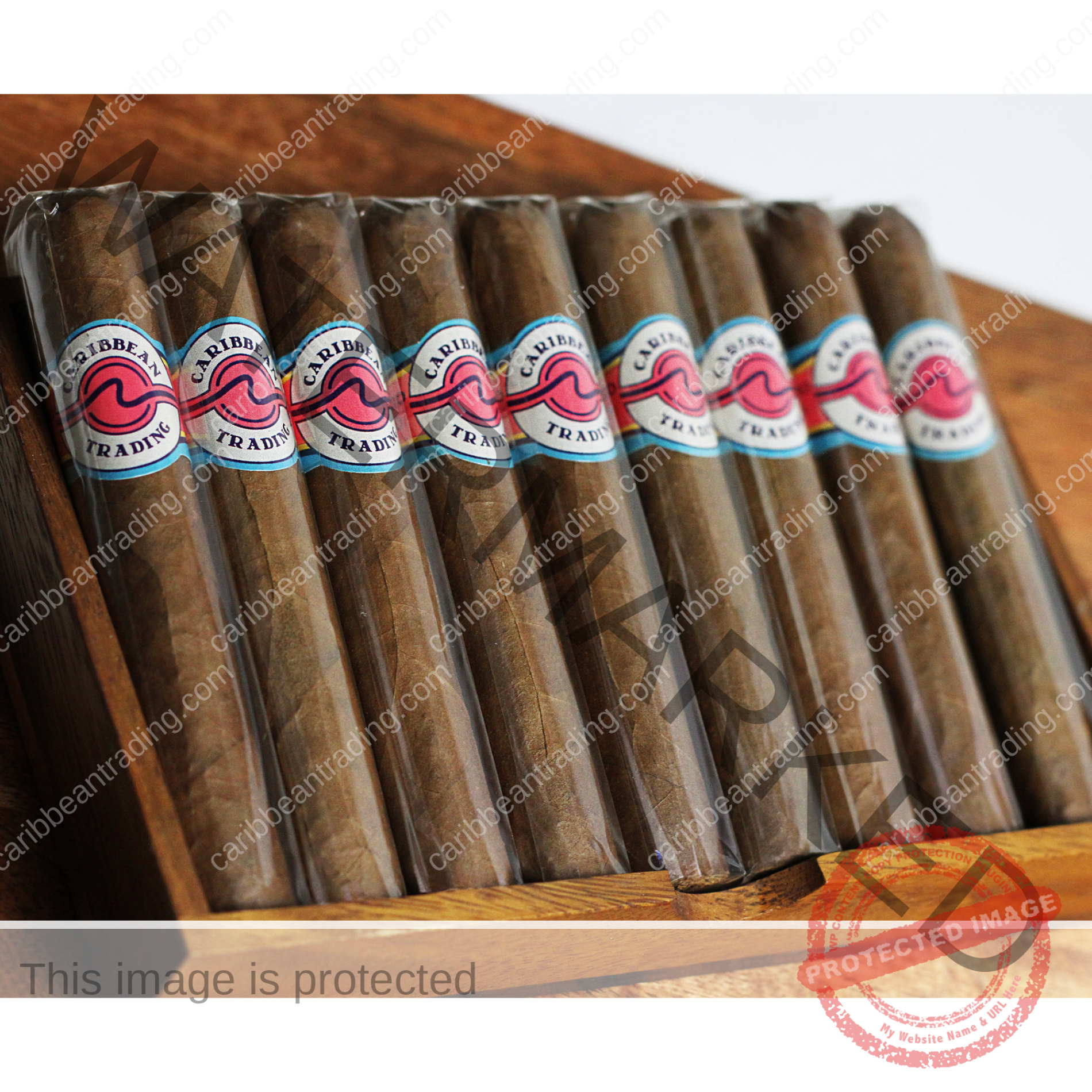 Captain's Choice Pirate's Rose Habano Rosado Canon Cigar (6x60) - 5 Pack - Image 4