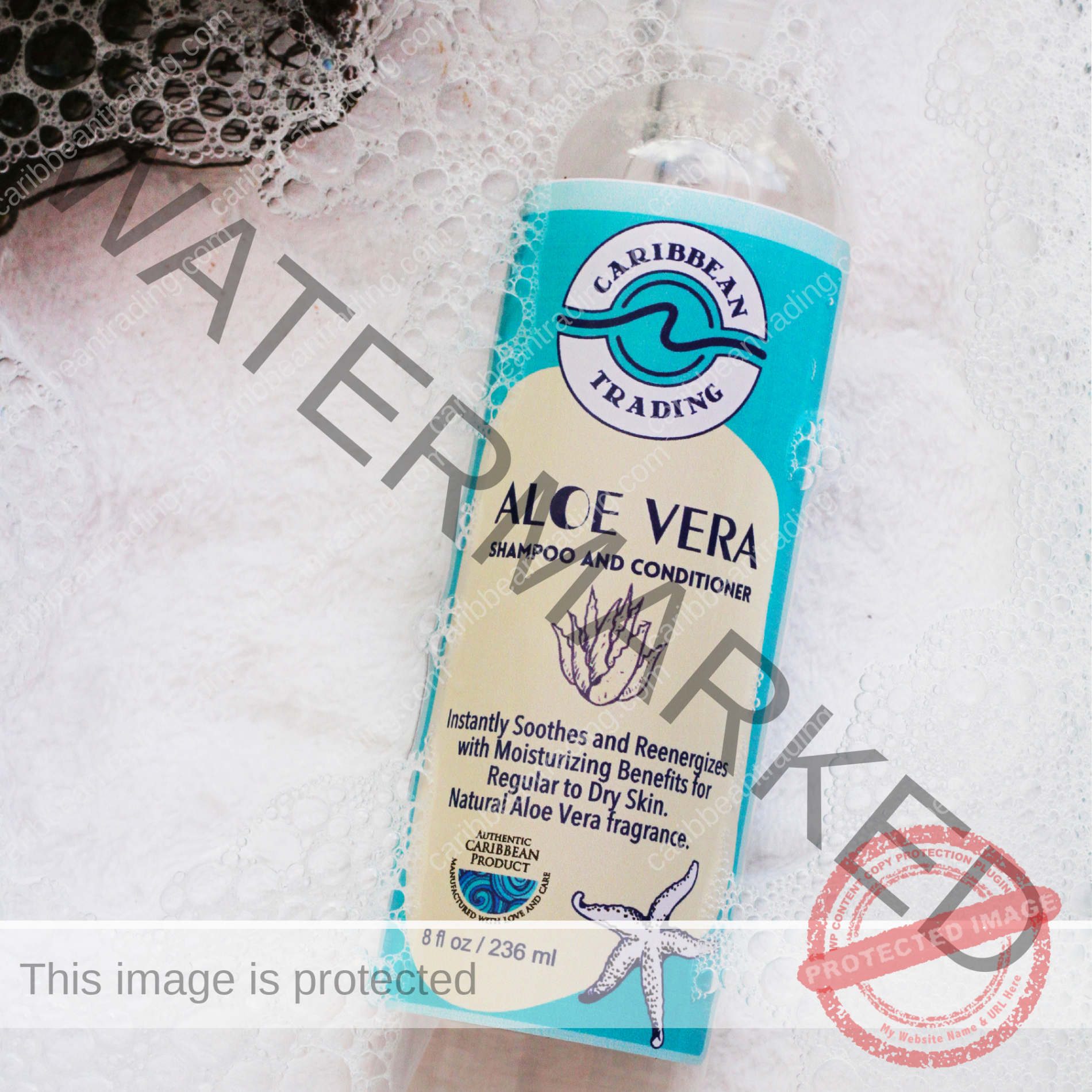 Aloe Vera Moisturizing Shampoo-Conditioner 8 oz. - Image 2