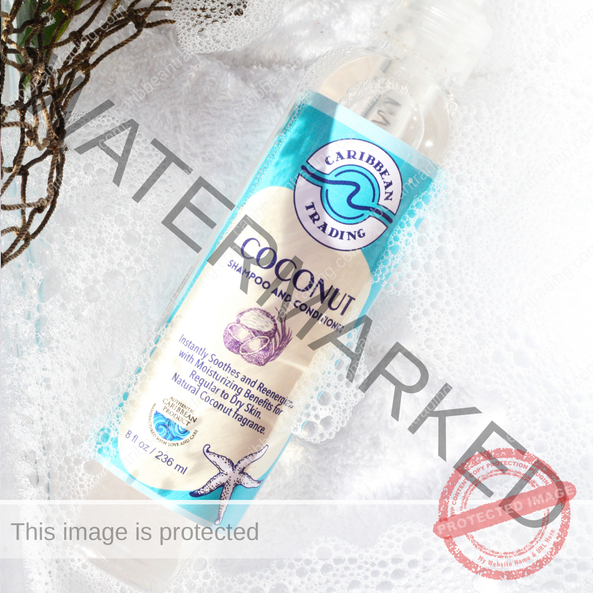 Coconut Moisturizing Shampoo-Conditioner 8 oz. - Image 2