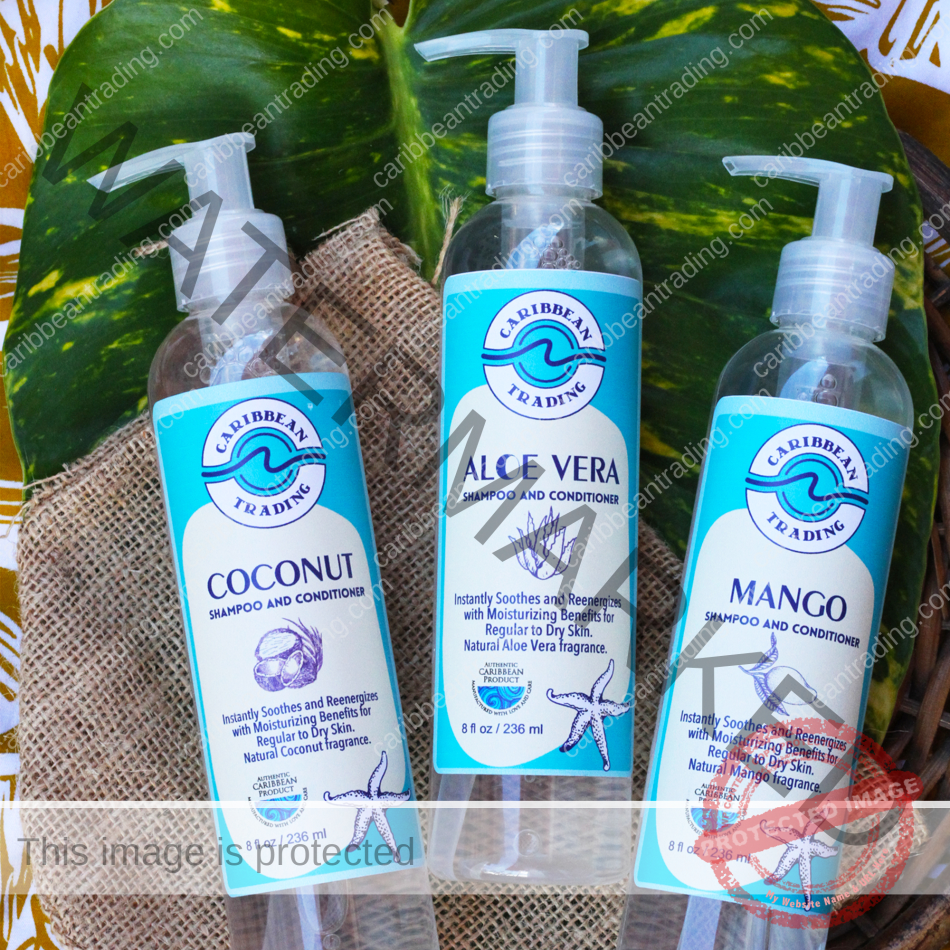 Coconut Moisturizing Shampoo-Conditioner 8 oz. - Image 4