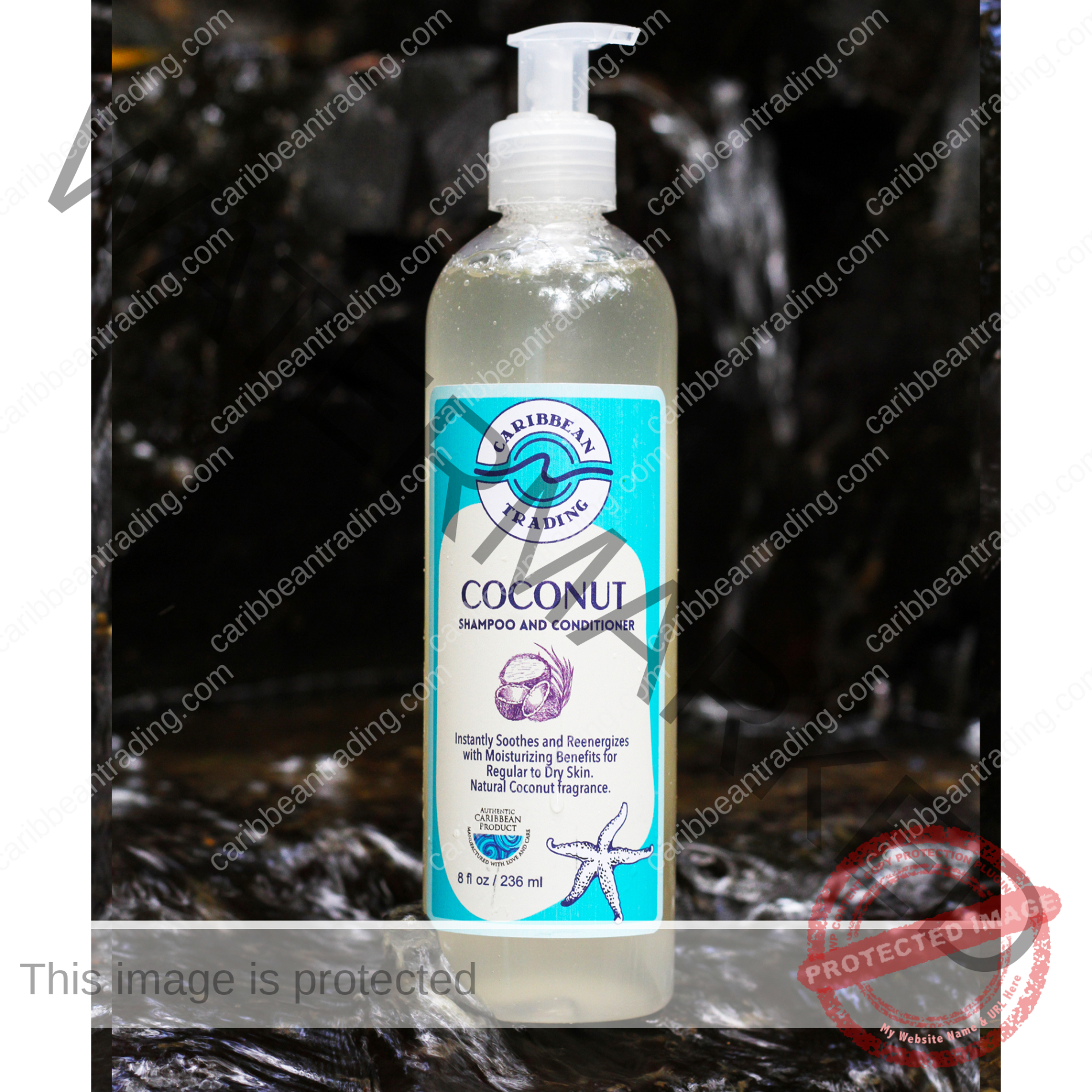 Coconut Moisturizing Shampoo-Conditioner 8 oz. - Image 3