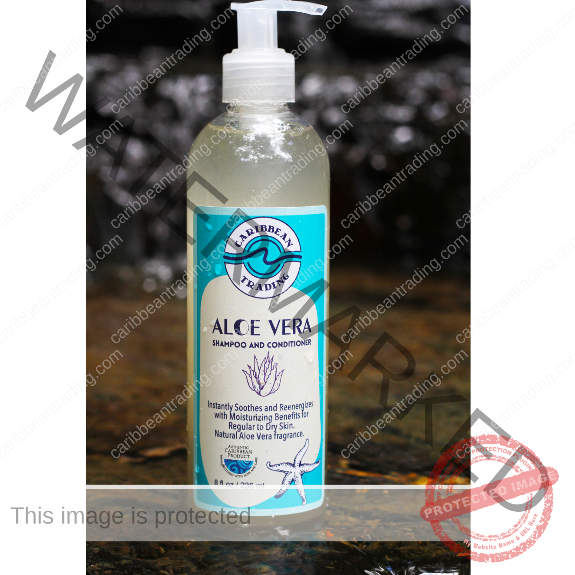 Aloe Vera Moisturizing Shampoo-Conditioner 8 oz. - Image 3