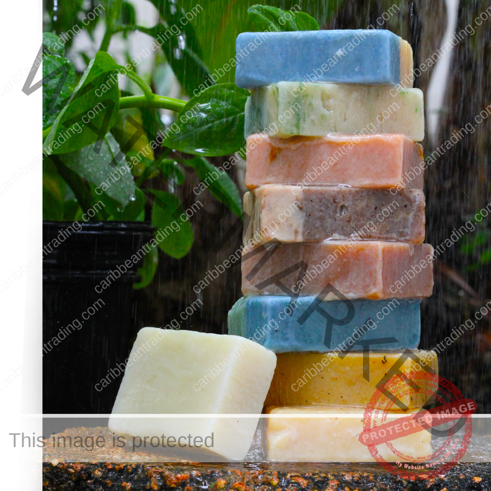 Mango Magic Handmade All Natural Vegan Soap - Image 3