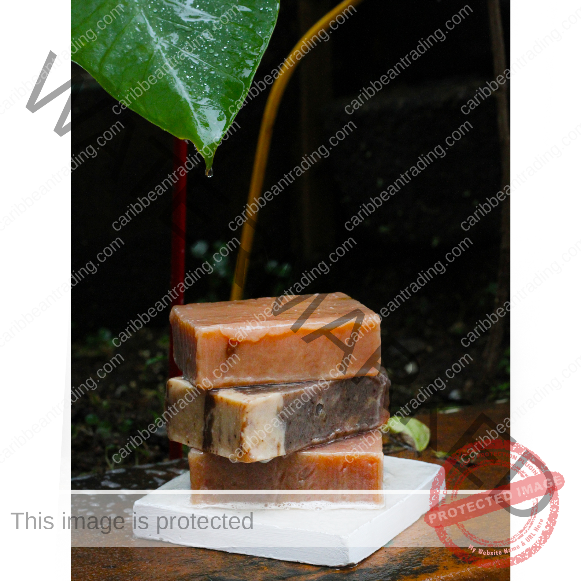 Citrus Fusion Handmade All Natural Vegan Aloe Soap - Image 2