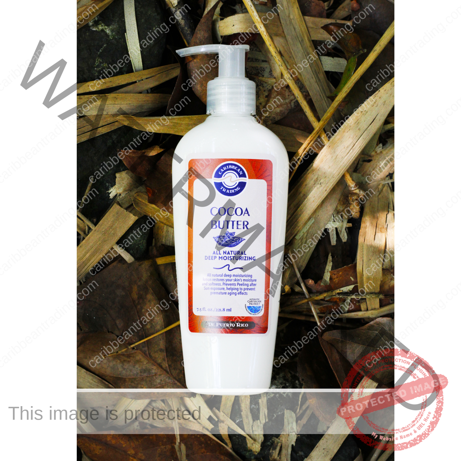 Cocoa Butter Moisturizing Cream - 8 oz. - Image 2