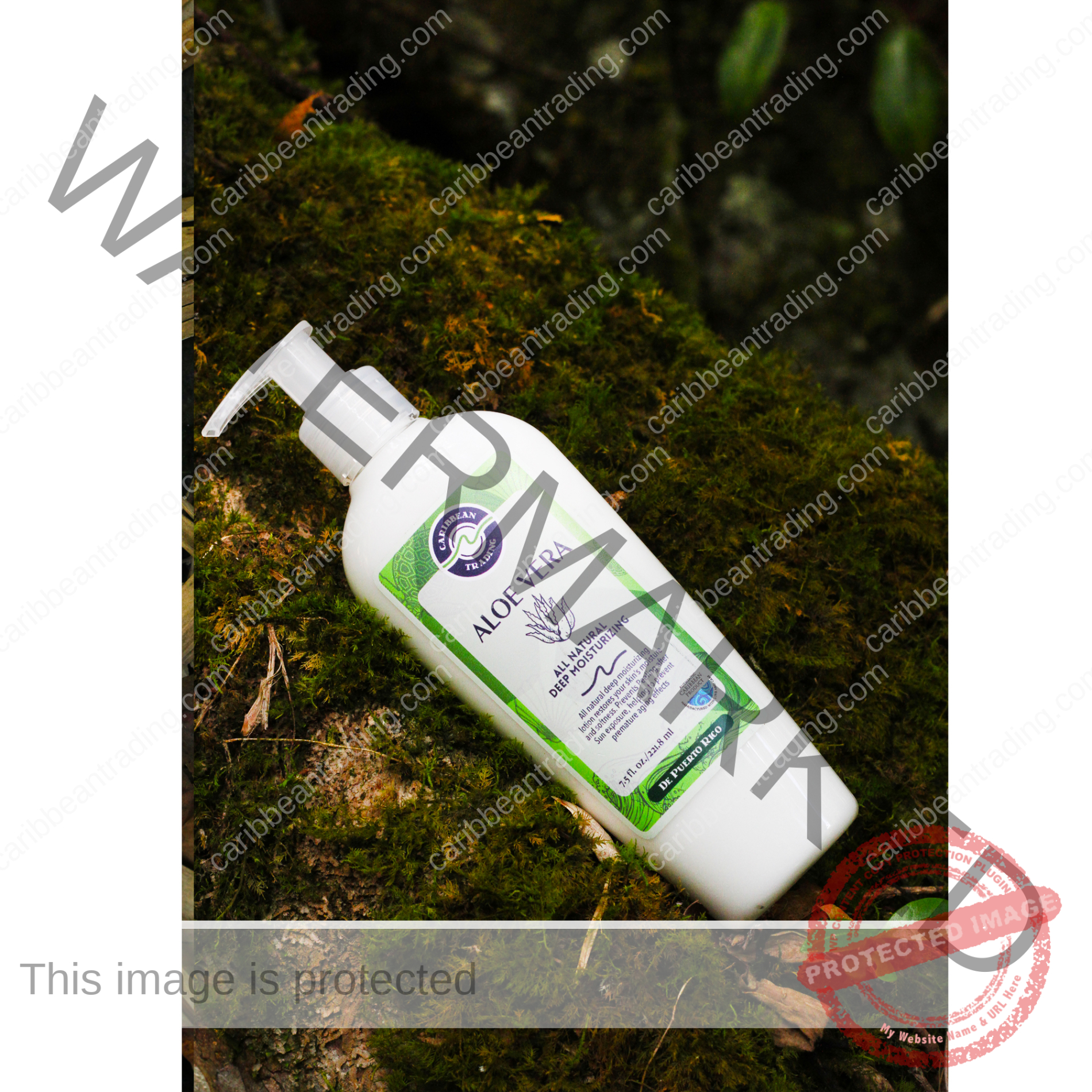 Aloe Vera Deep Moisturizing Cream - 8 oz. - Image 2