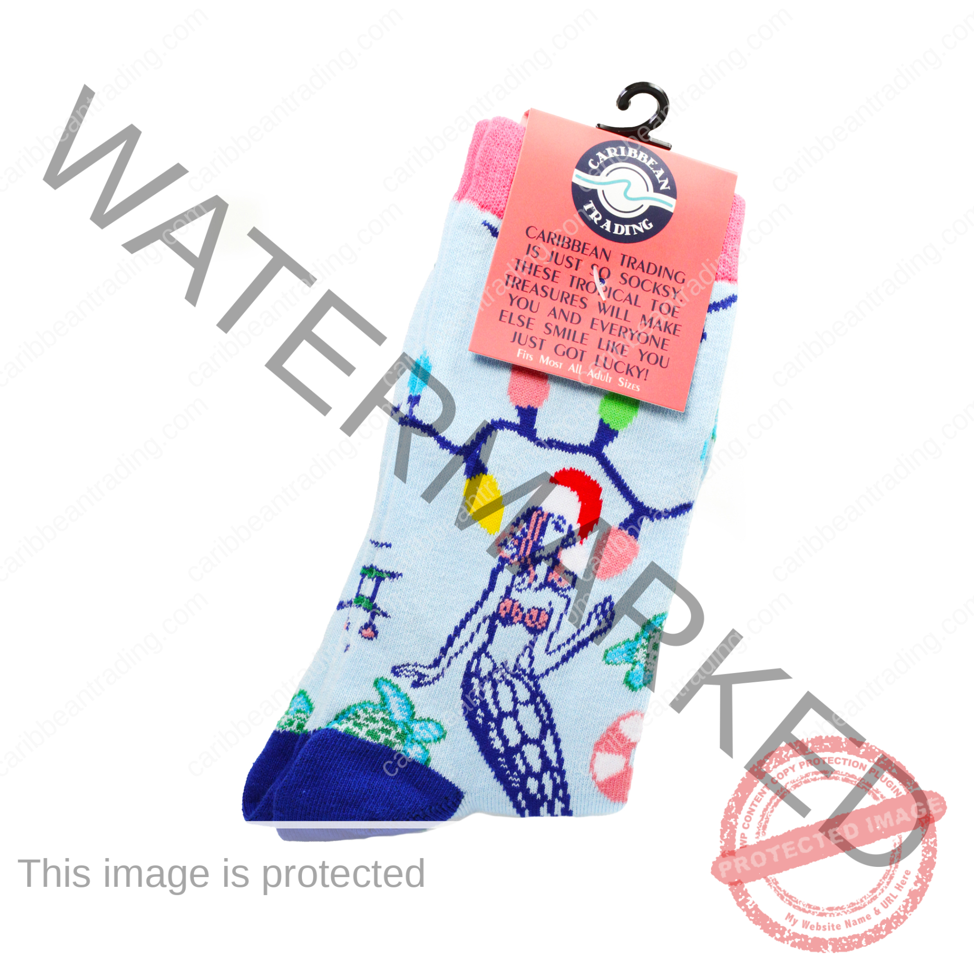 Tropical Socks Christmas Lights - Image 4