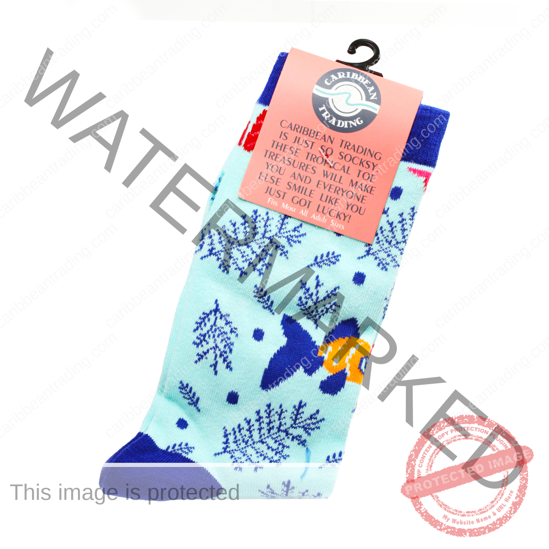 Tropical Socks Fish - Image 4
