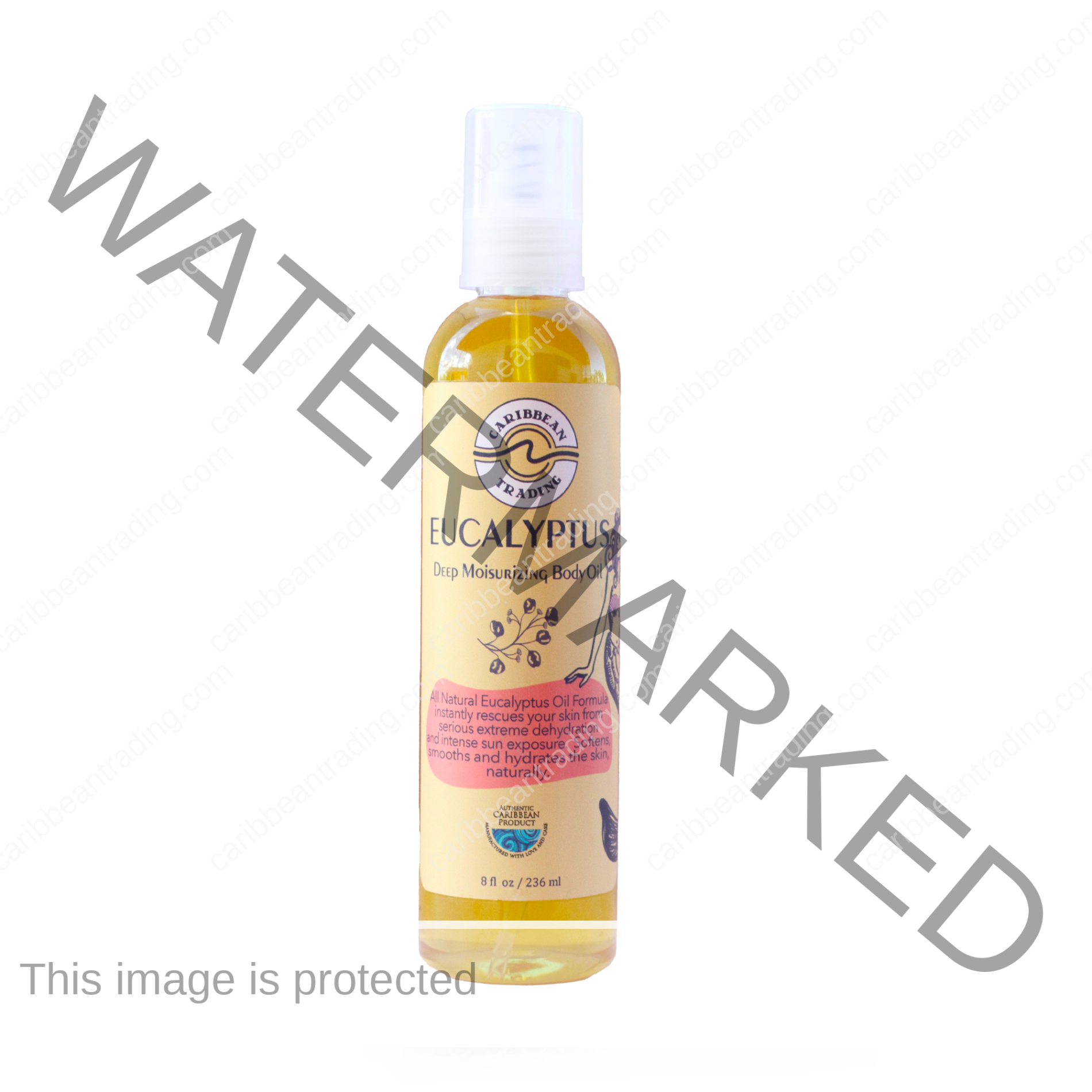 Eucalyptus Body Oil - 8 oz.