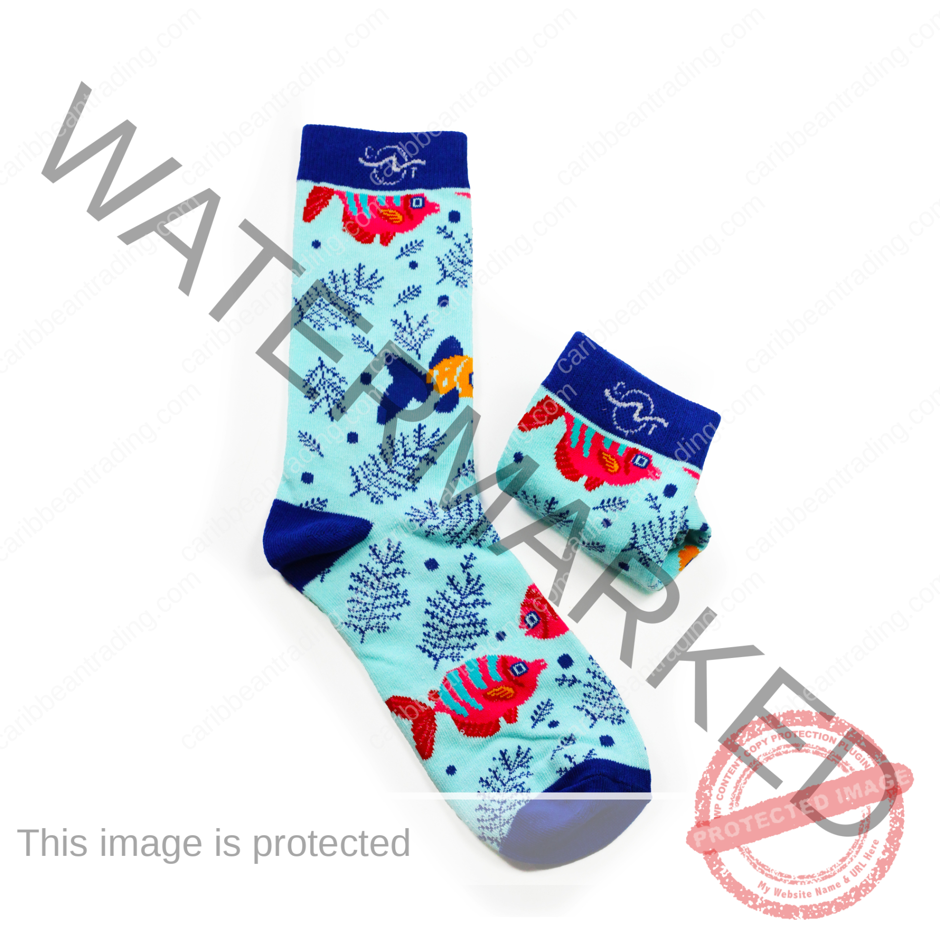 Tropical Socks Fish - Image 3