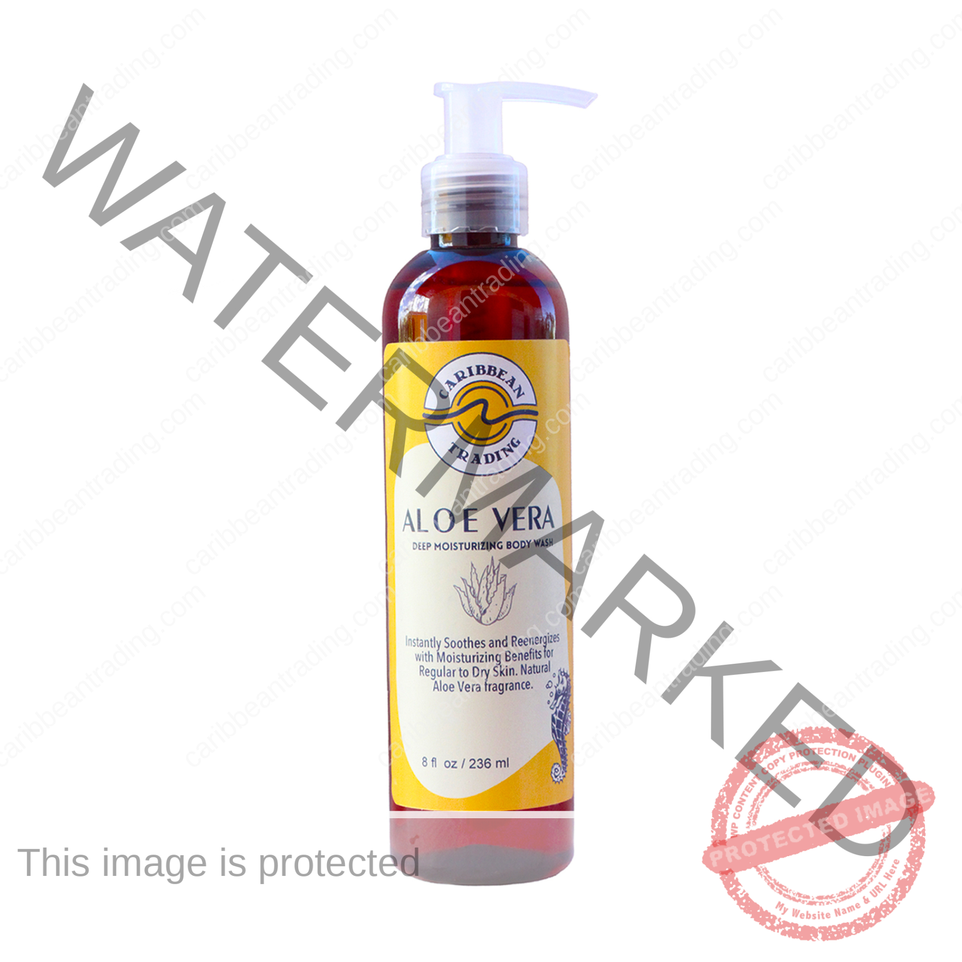 Moisturizing Body Wash-Aloe Vera 8 oz.