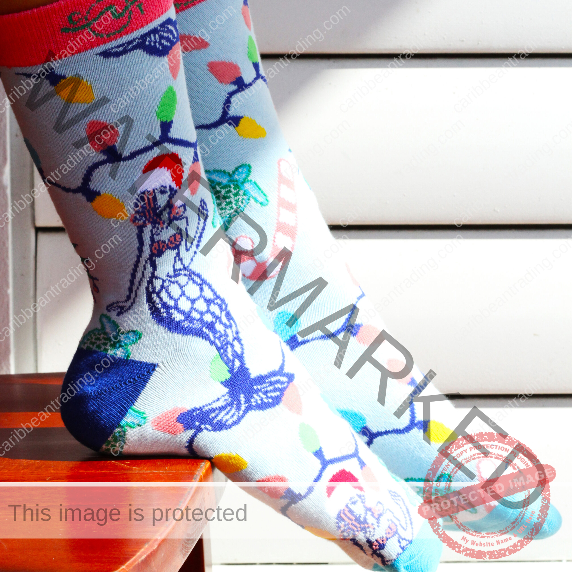 Tropical Socks Christmas Lights - Image 5