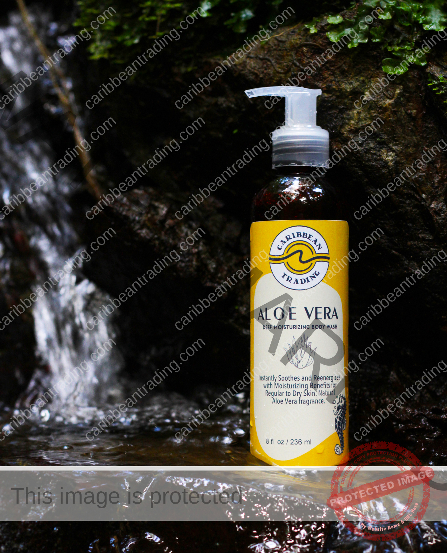 Moisturizing Body Wash-Aloe Vera 8 oz. - Image 2