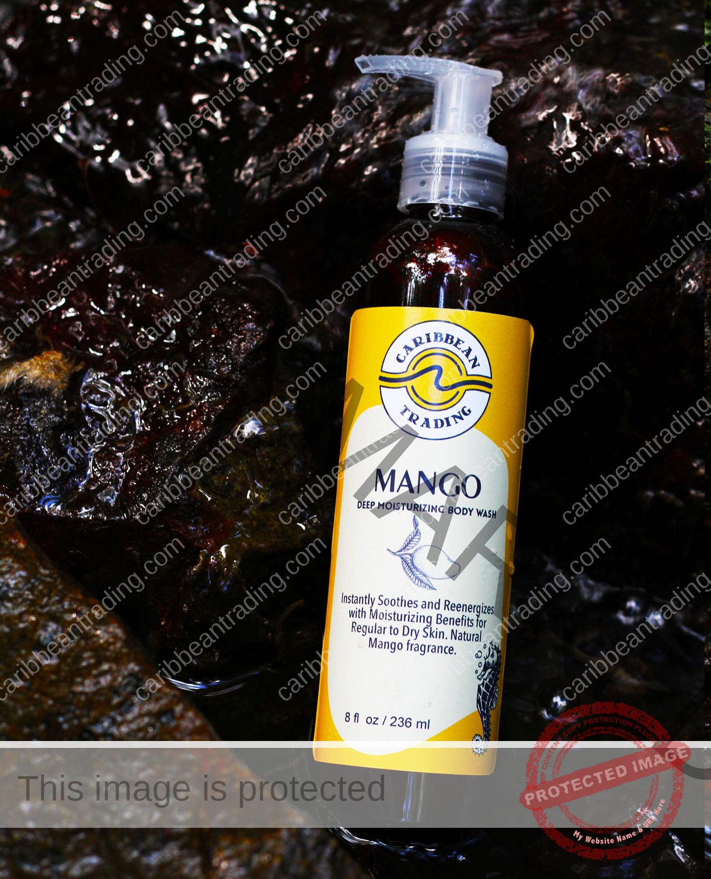 Mango Body Wash-8 oz. - Image 2