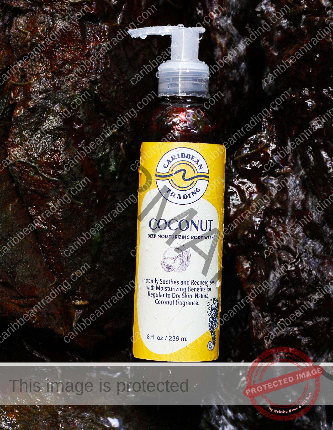 Body Wash-Coconut 8 oz. - Image 2