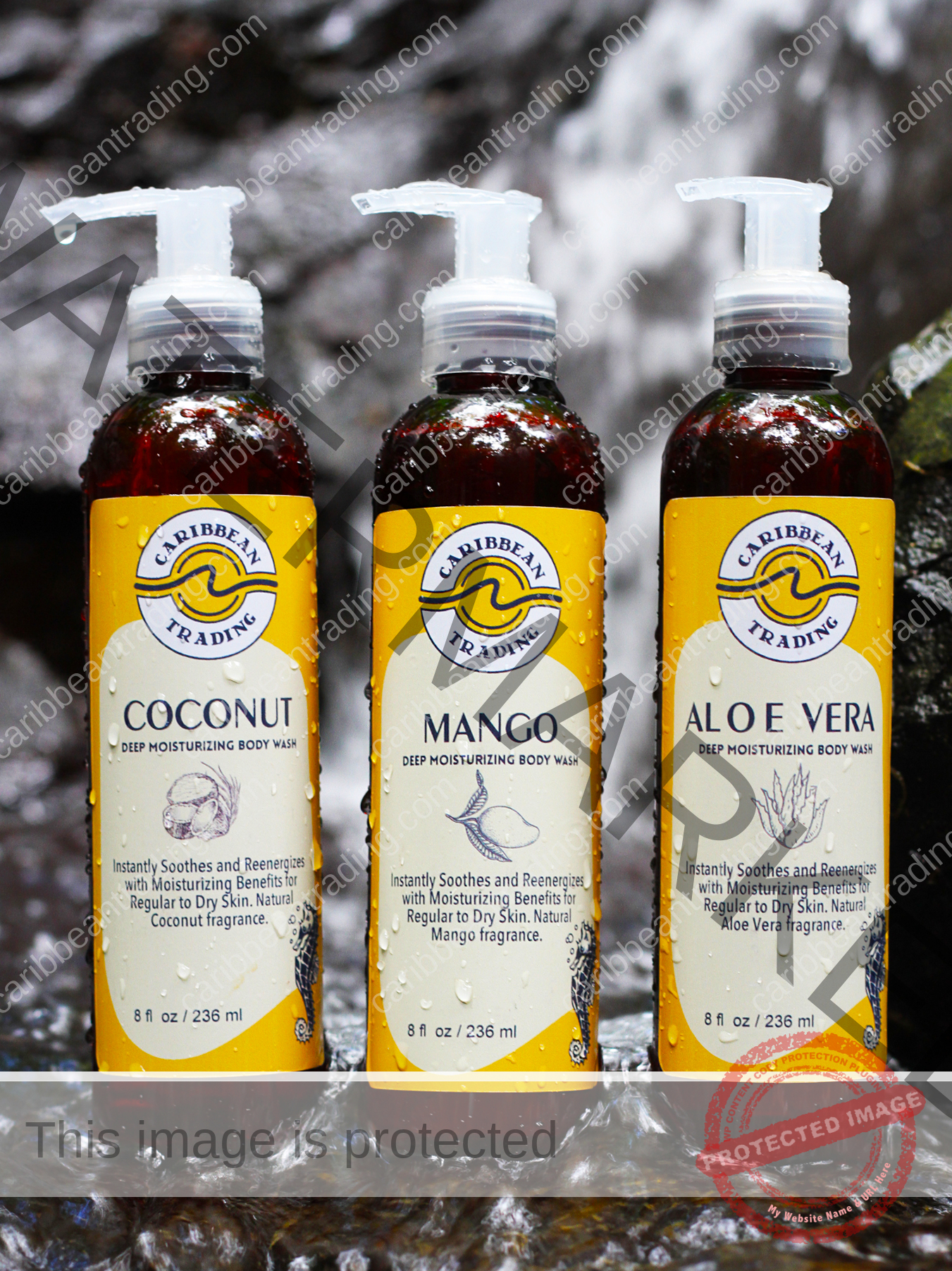 Mango Body Wash-8 oz. - Image 3