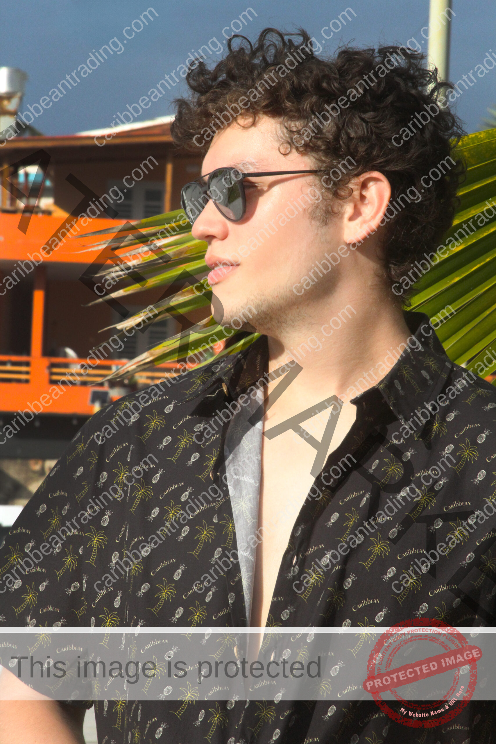 Pineapple-Palms-Caribbean-Button Down Shirt - Image 2