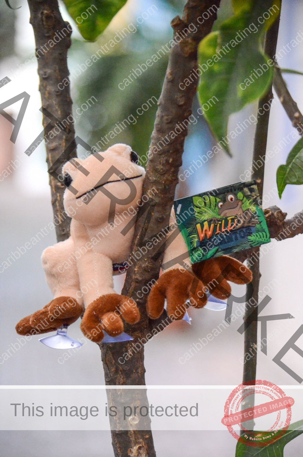 coqui stuffed animal