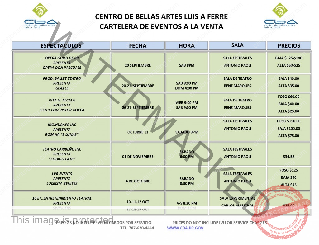 bellas arte schedule
