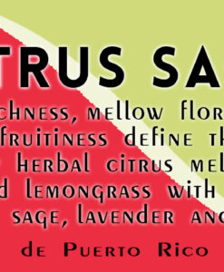 soy-candle-citrus-sage