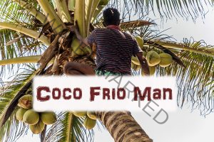 Coco Frio