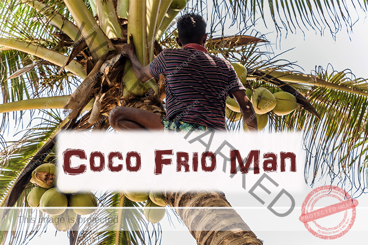Coco Frio